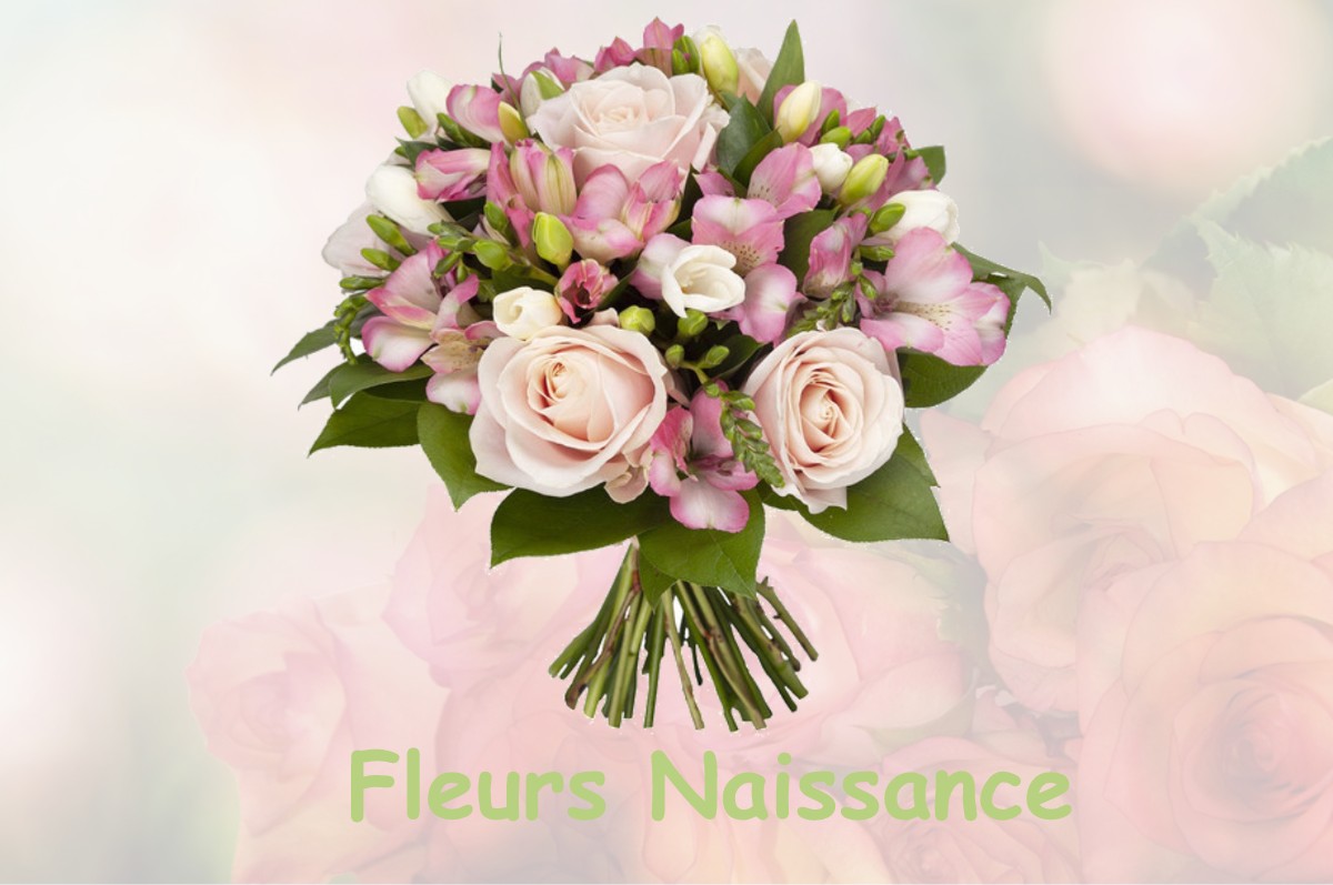 fleurs naissance SAINT-LAURENT-D-AIGOUZE